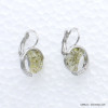 boucles d'oreilles fleurs séchées résine métal coloré femme 0319024 boucles d'oreilles fleurs séchées résine métal coloré femme 0319024
