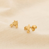 12 paires de puce d'oreilles étoile acier inoxydable 0319525 doré